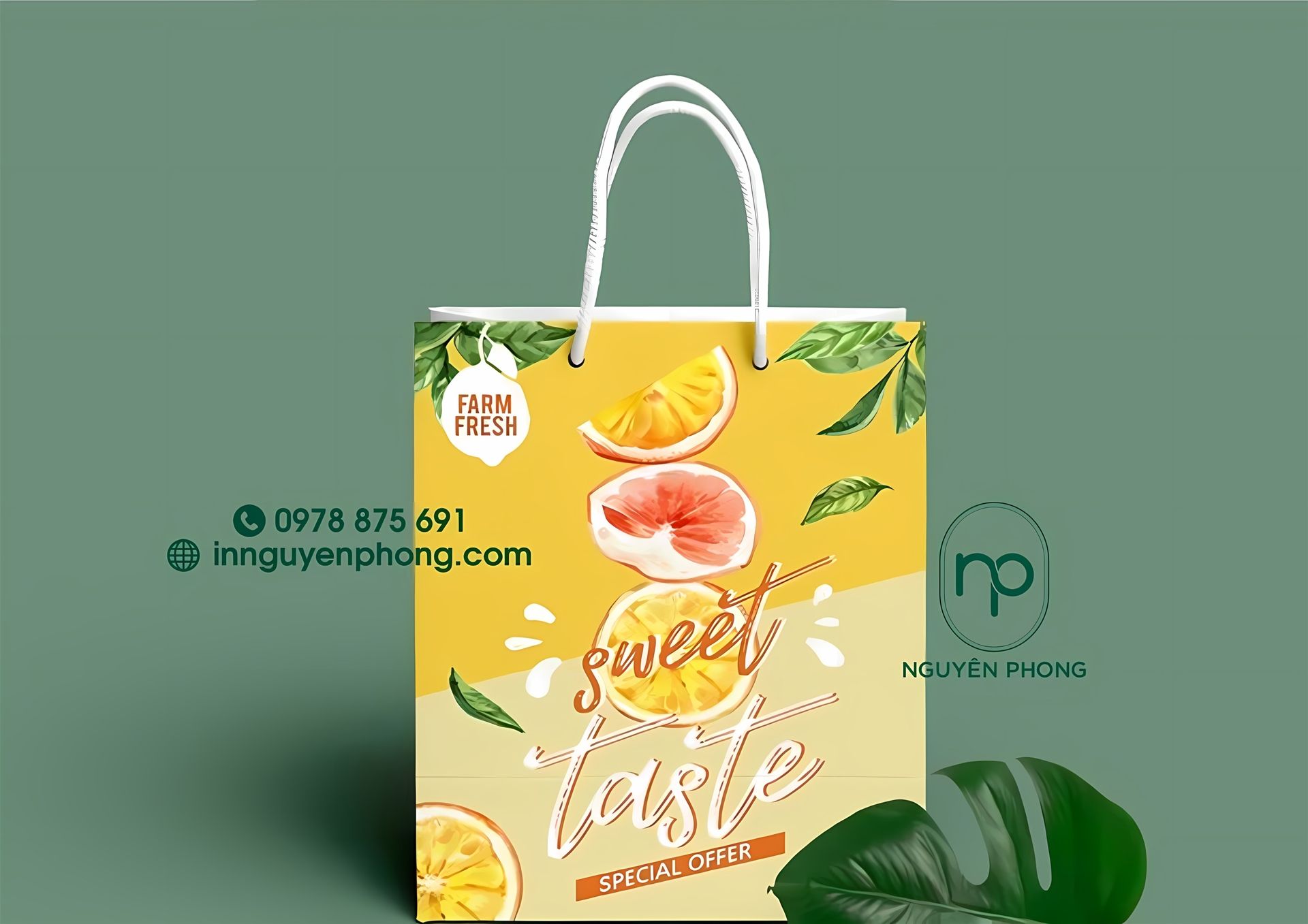 Mẫu túi đựng trái cây đẹp 
